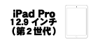iPad Pro 12.9インチ (第2世代)